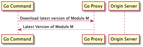 The Go Command (go get) try to fetch modules from the proxy server